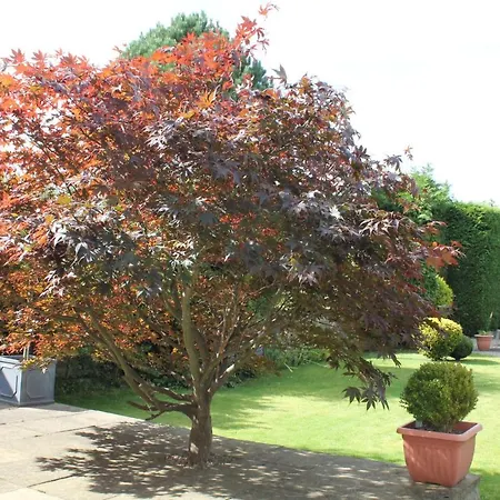 Holiday home Chaloners, Free Parking, Large Garden, Close To Races & Centre York